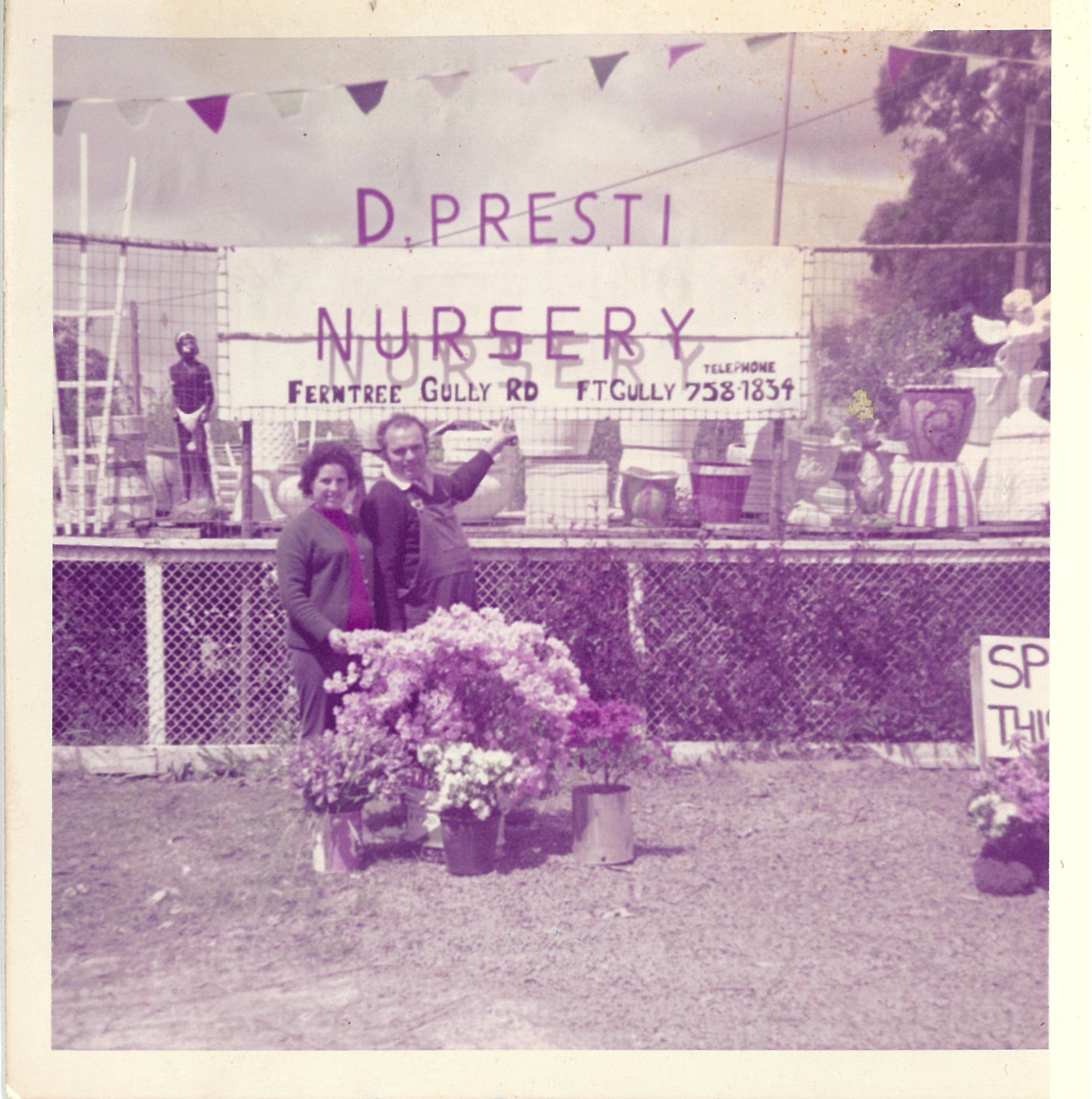 Historic photo of Presti Nursery