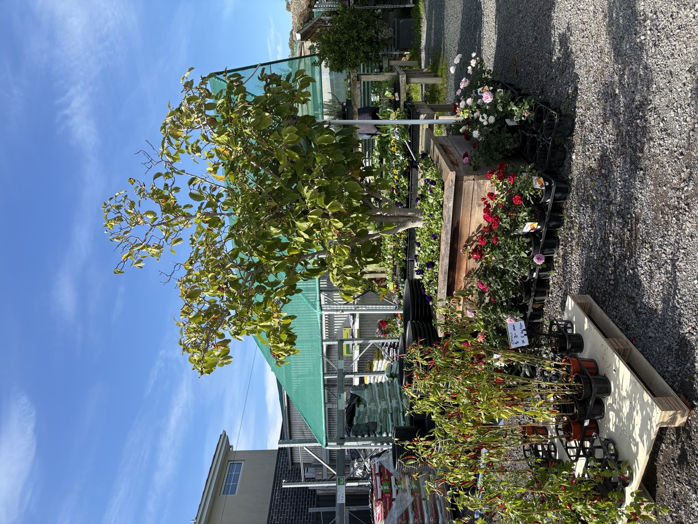 Outdoor nursery area