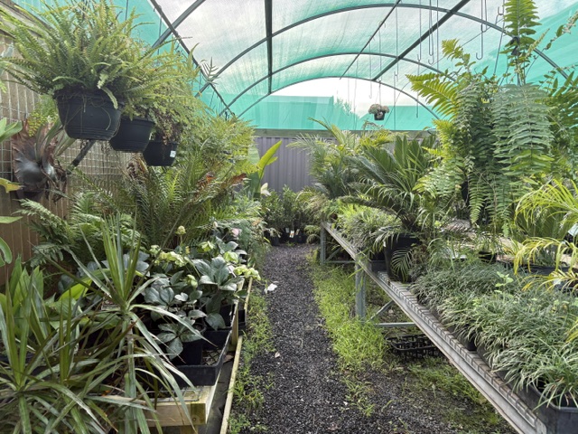 Plants and displays at Presti Nursery
