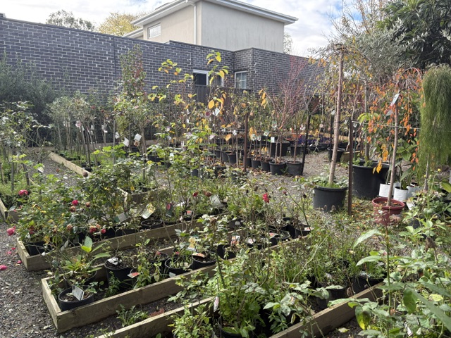 Plants and displays at Presti Nursery